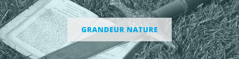 Bandeau Animation Escrime - Grandeur Nature