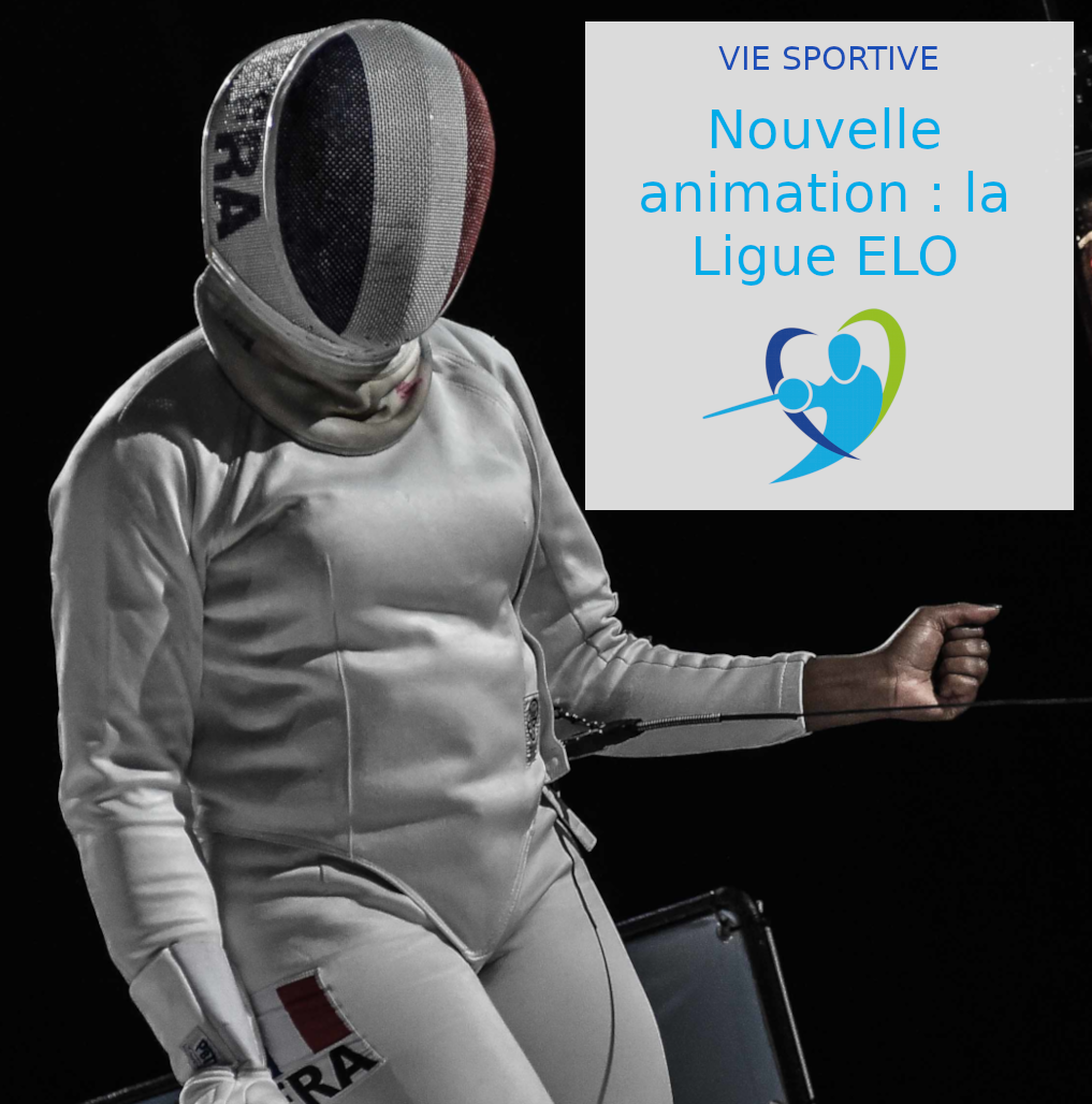 Vie sportive : mise en place de la Ligue ELO